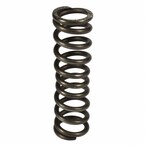 Steering Column Spring Main Image