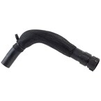 Hose - 3.2L Main Image