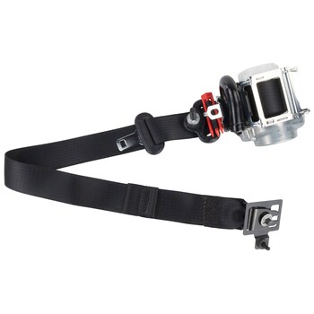 Seat Belt Lap and Shoulder - Right, Rear