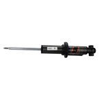 Suspension Shock Absorber - Rear Main Image
