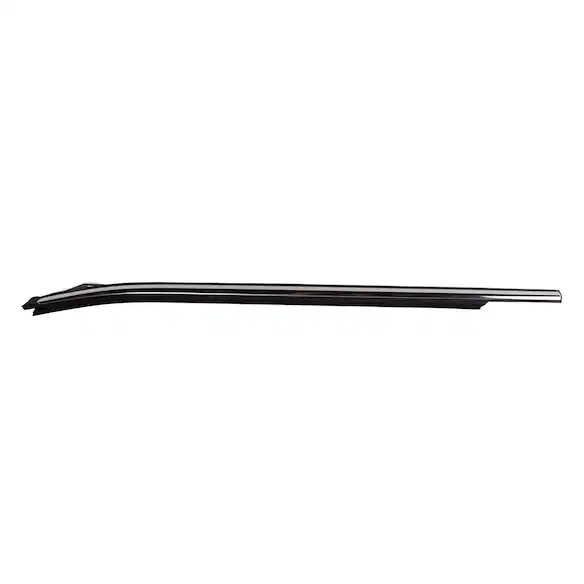Door Belt Molding Window Weatherstrip - Left, Rear Main Image