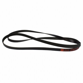 Serpentine Belt - 4.6L