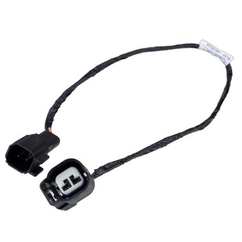 Socket and Wire Lamp