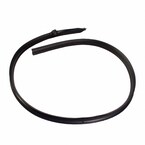 Roof Panel Weatherstrip - Left, Front Main Image
