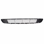 Bumper Grille - Front Main Image