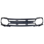 Radiator Grille - Front, Upper (Limited) Main Image