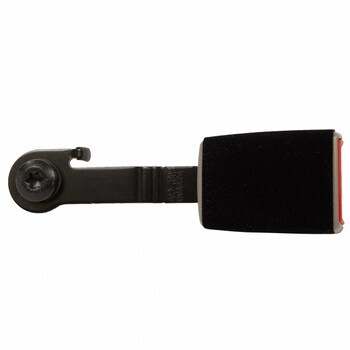 Seat Belt Receptacle - Right, Rear