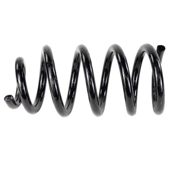 Coil Spring - Left, Rear