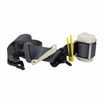 Seat Belt Lap and Shoulder - Left, Rear