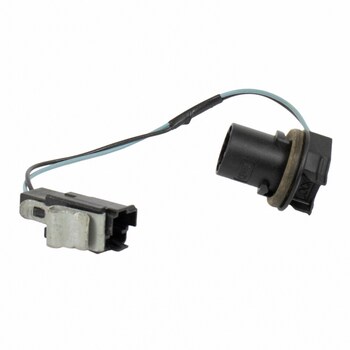 Back Up Light Socket - Rear (Police)