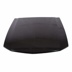Hood Panel Extension - Outer (GT) Main Image