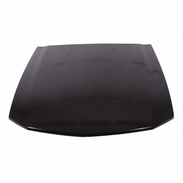 Hood Panel Extension - Outer (GT) Main Image