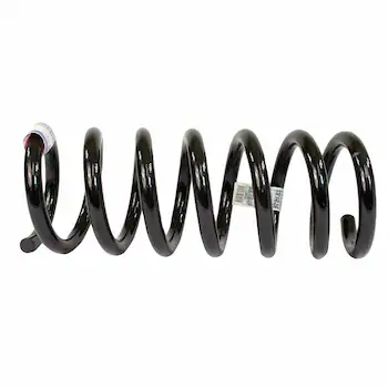 Coil Spring - Left, Right, Rear