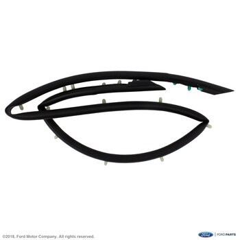 Hood Seal Gasket - Front
