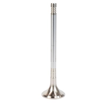 Engine Exhaust Valve - 3.0L