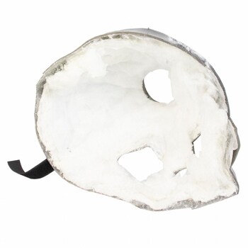 Shield Drive Motor - Rear