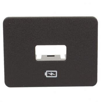 Audio Auxiliary Jack Bezel - Left, Right