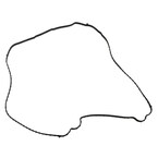 Transmission Oil Pan Gasket Main Image