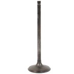 Engine Intake Valve - Inlet Main Image