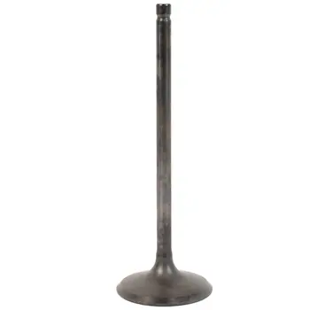Engine Intake Valve - Inlet