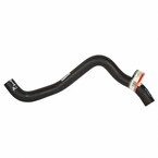 Radiator Coolant Hose - Lower Main Image