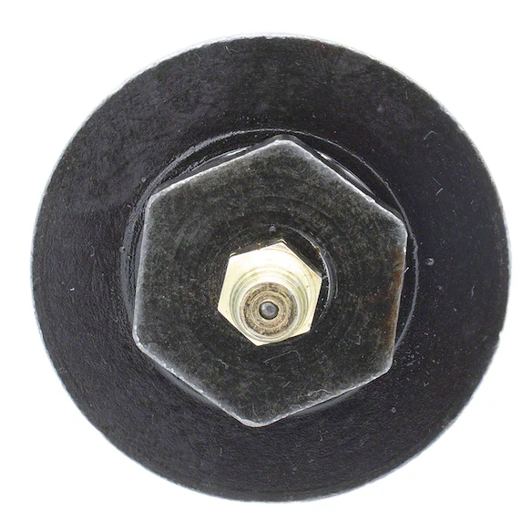 Bearing plug - Front Main Image