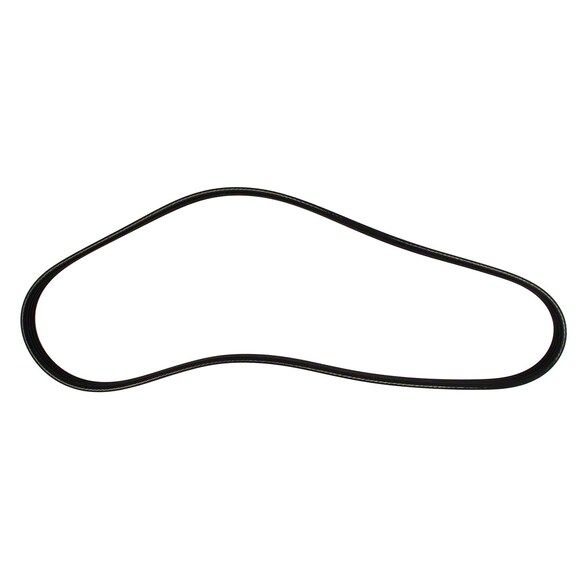 Serpentine Belt Main Image