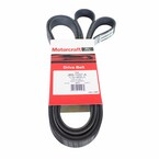 Serpentine Belt Main Image