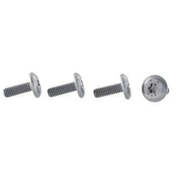 Door Reveal Molding Screw