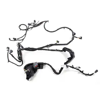 Wiring Lamps - Rear 2.3L