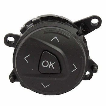 Cruise Control Switch - Left, Upper