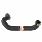 Radiator Coolant Hose - 1.6L Main Image