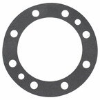 Axle Shaft Gasket - Rear 21, 23 Main Image