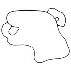 Engine Water Pump Gasket - 6.7L Main Image