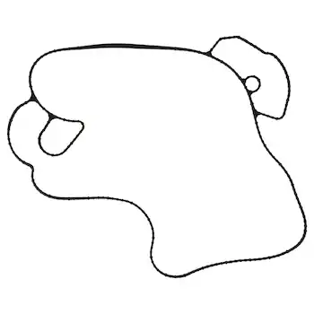 Engine Water Pump Gasket - 6.7L