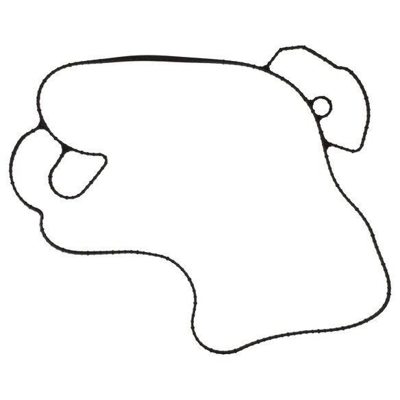 Engine Water Pump Gasket - 6.7L Main Image