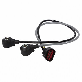 Ignition Knock (Detonation) Sensor Engine - 6.8L