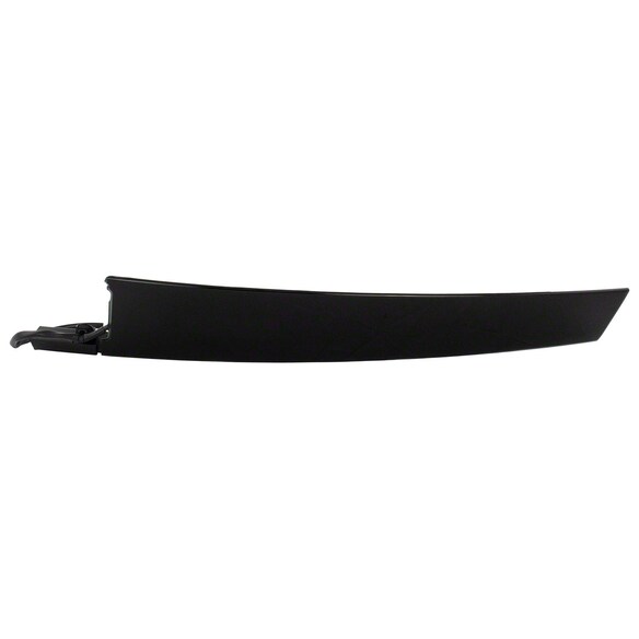 Door Applique Exterior molding - Right Main Image