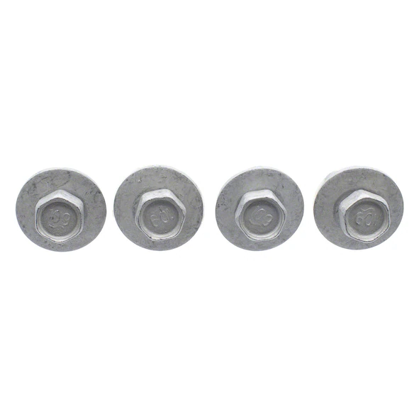 Door Hinge Bolt - M10 X 30MM, Front 3.5L Main Image