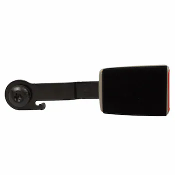 Seat Belt Receptacle - Left, Rear