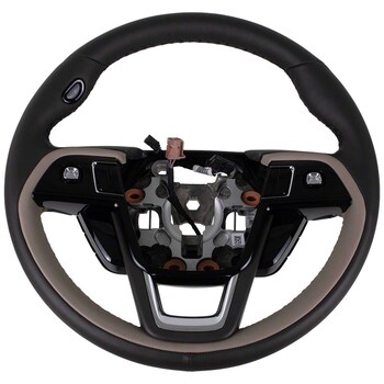 Wheel Steering <br>Steering with heated Wheel, adaptive cruise sandstone