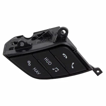 Cruise Control Switch - Right, Lower