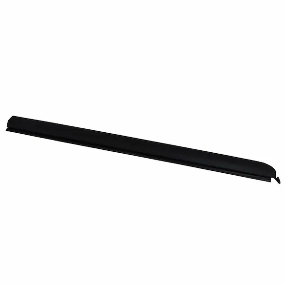 Door Window Belt Weatherstrip - Right, Front, Outer Main Image