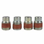 Engine Core Plug - 1/8" NPTF Main Image