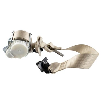 Seat Belt Lap and Shoulder - Right, Rear