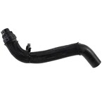 Radiator Coolant Hose - Lower Main Image