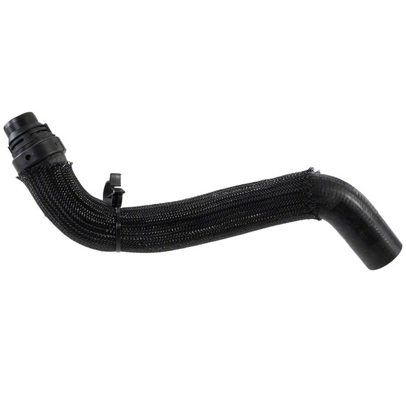 Radiator Coolant Hose - Lower Main Image