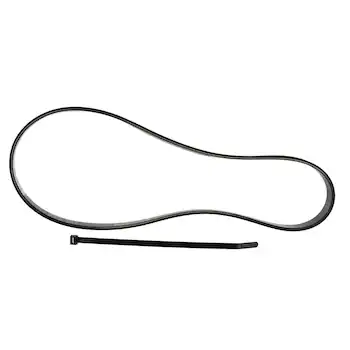 Serpentine Belt - 5.0L