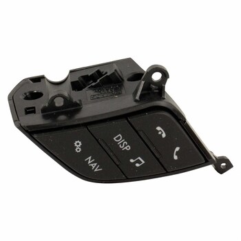 Cruise Control Switch - Right, Lower