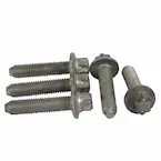 Bolt - M10 X 45MM Main Image